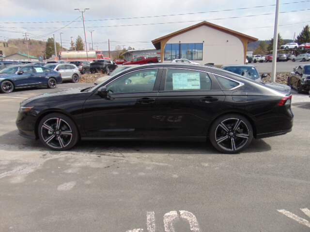  2025 Honda Accord Image: 6