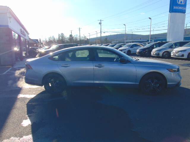  2025 Honda Accord Image: 3