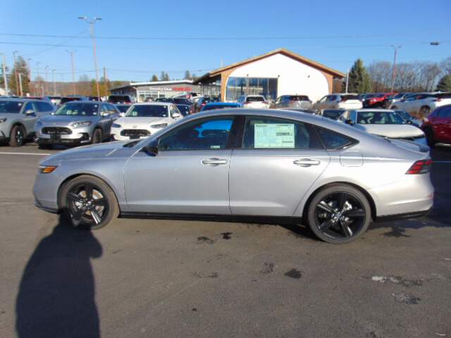  2025 Honda Accord Image: 7