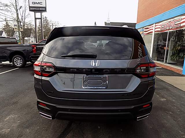  2025 Honda Pilot Image: 5