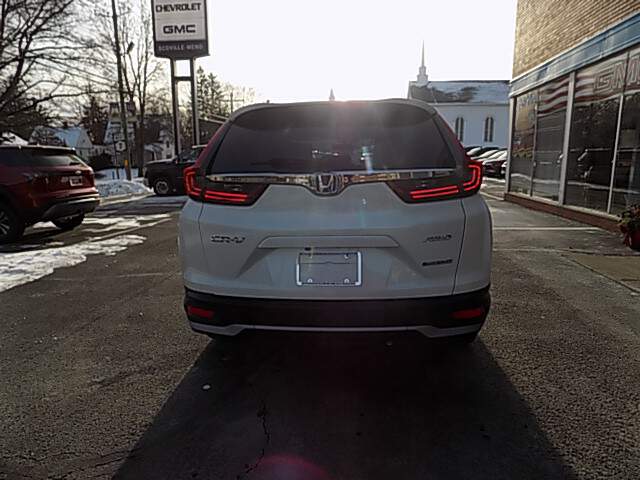  2020 Honda CR-V Image: 3