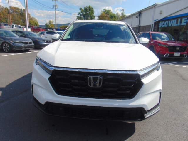  2026 Honda CR-V Image: 1