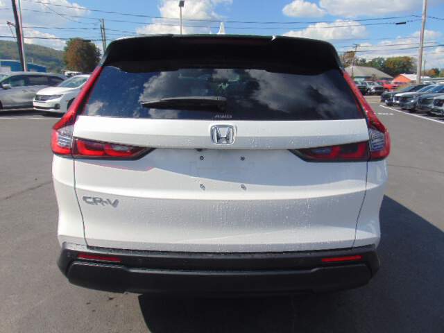  2026 Honda CR-V Image: 5