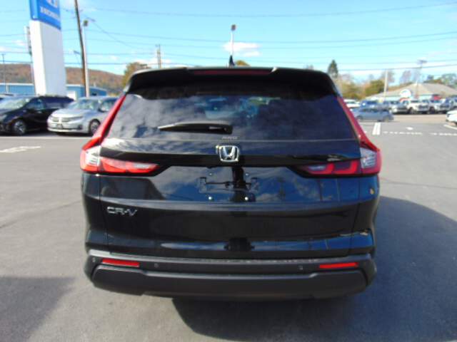  2026 Honda CR-V Image: 5