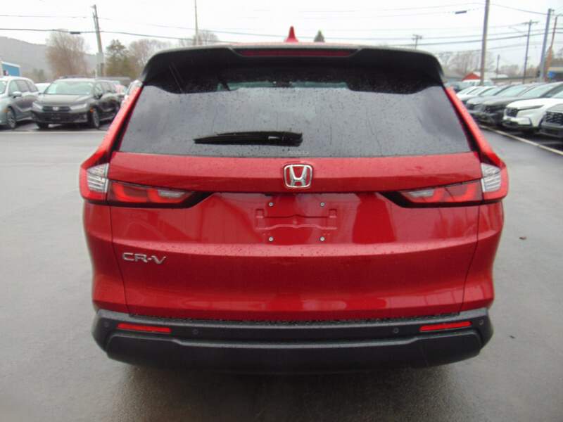  2026 Honda CR-V Image: 5