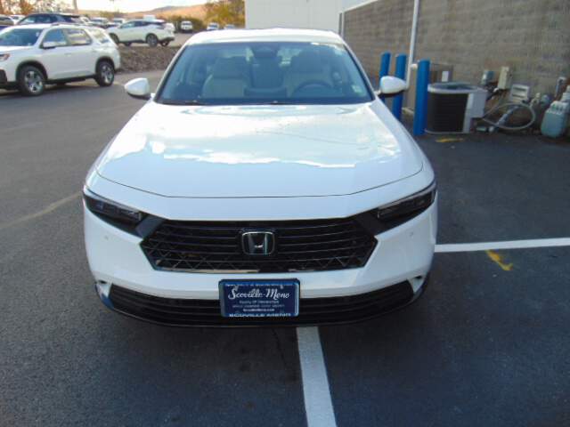  2026 Honda Accord Image: 1