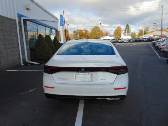  2026 Honda Accord Image: 5