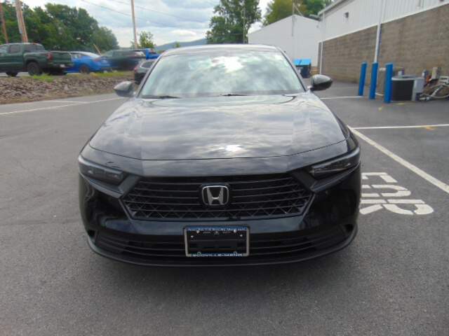  2026 Honda Accord Image: 1
