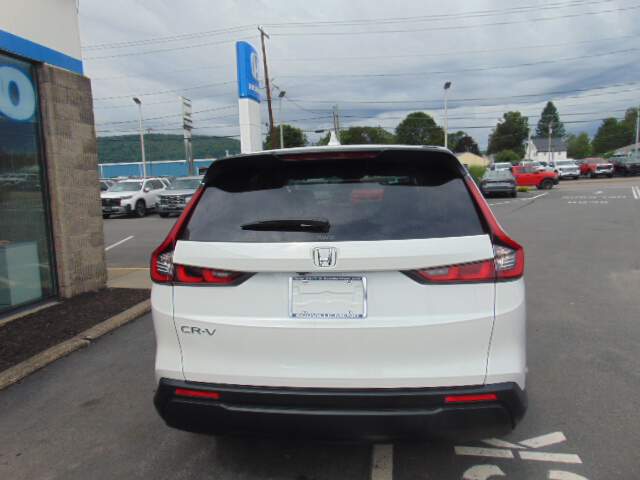  2026 Honda CR-V Image: 5