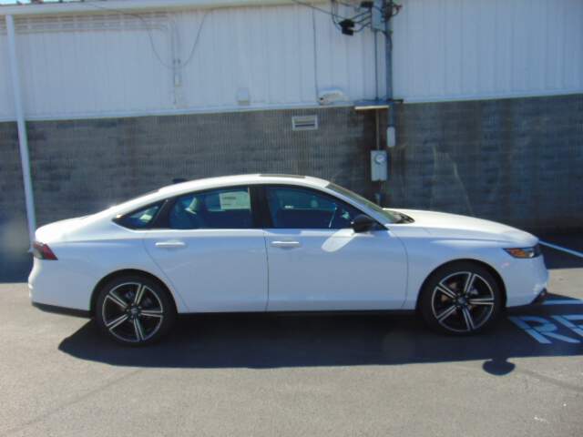  2026 Honda Accord Image: 3