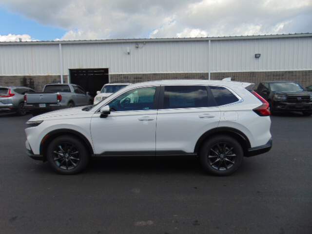  2027 Honda CR-V Image: 11