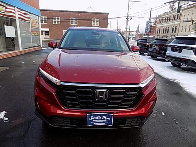  2023 Honda CR-V Image: 7