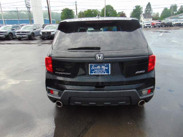  2023 Honda Passport Image: 3