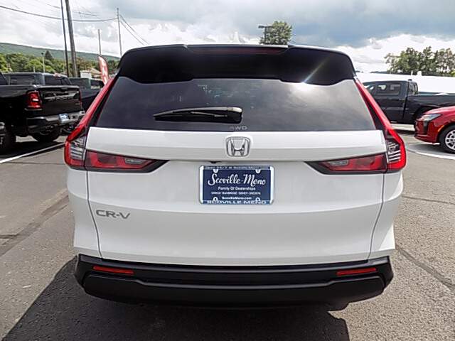  2024 Honda CR-V Image: 5