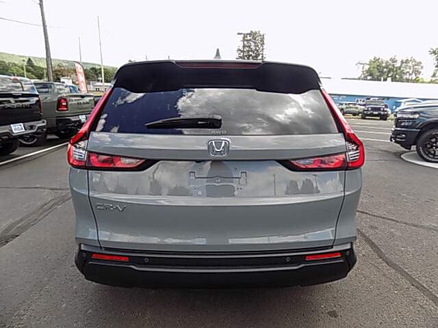  2024 Honda CR-V Image: 5