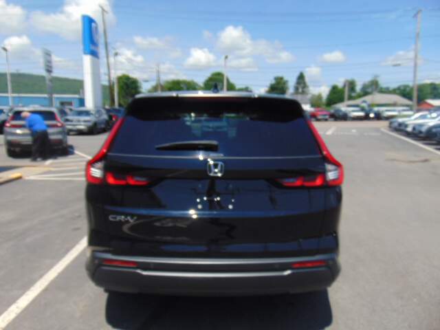  2024 Honda CR-V Image: 5